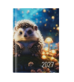 graphic-prints-a5-diary-week-to-view-full-colour